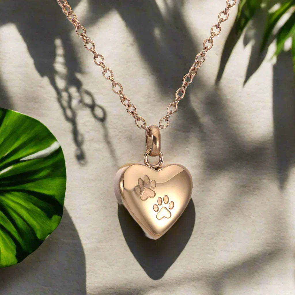 Memorial Necklace with Paw Heart – Urn Pendant in Stainless Steel